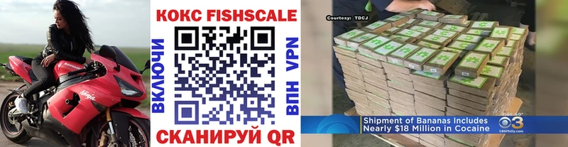 Купить закладки  Великие Луки  COCAIN FishScale 