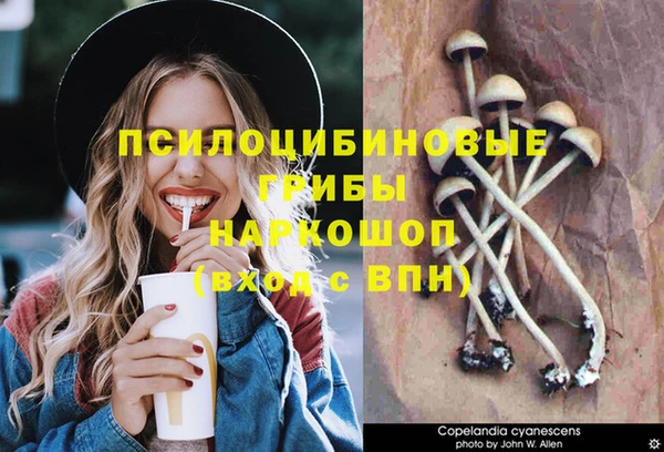 метадон Богородицк