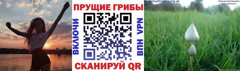 Галлюциногенные грибы ЛСД  Купить  Великие Луки 